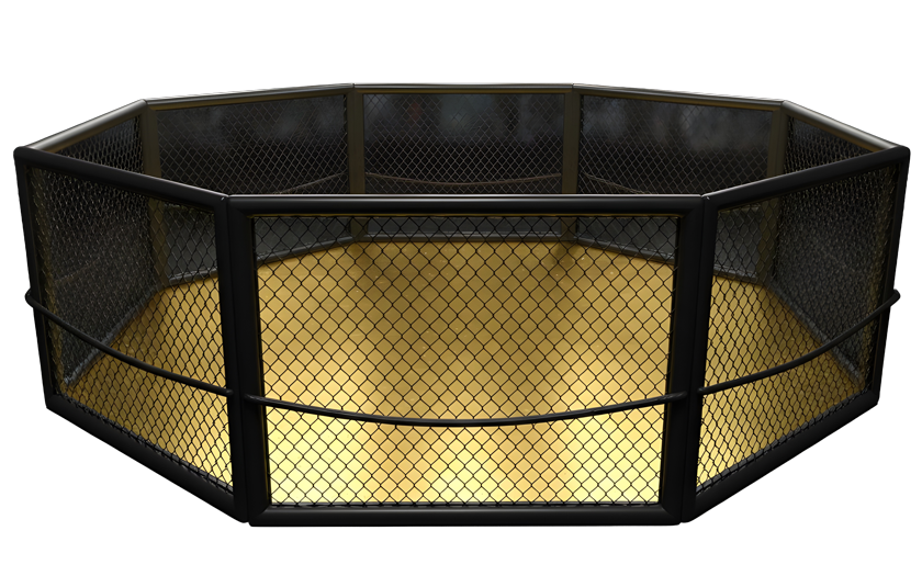 Champions Gym - Train with UFC Coaches MMA Octagon