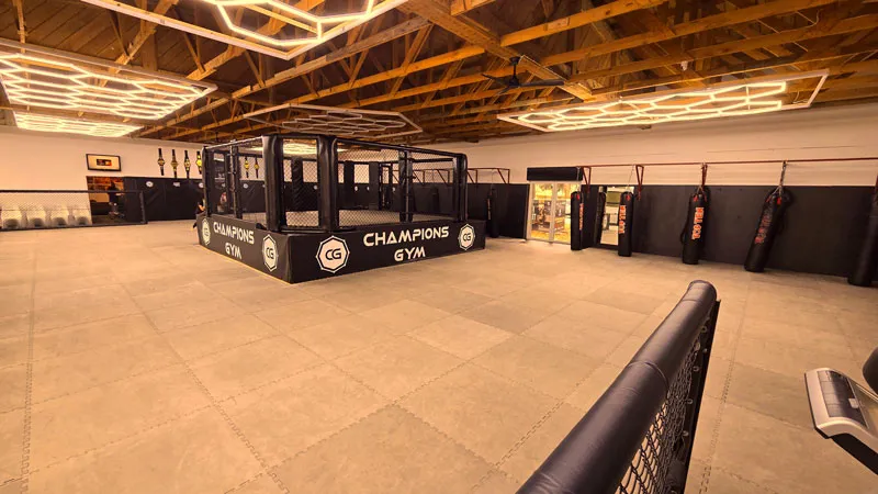 Champions Gym - Train with UFC Coaches