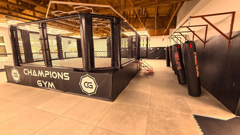Champions Gym - Train with UFC Coaches