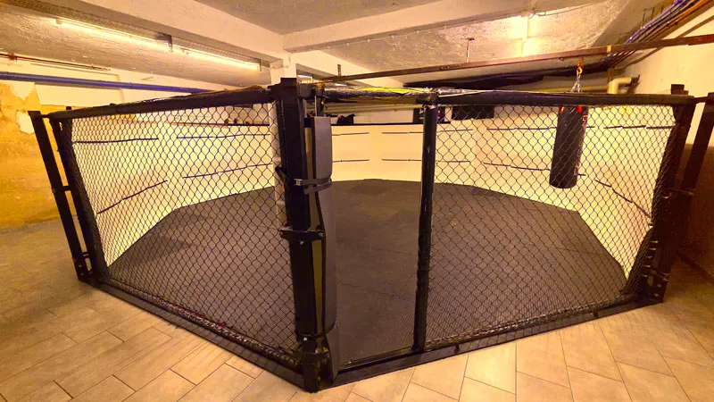 Champions Gym - Train with UFC Coaches