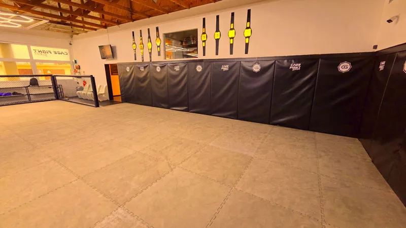 Champions Gym - Train with UFC Coaches