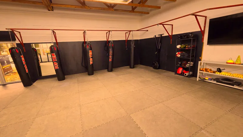 Champions Gym - Train with UFC Coaches