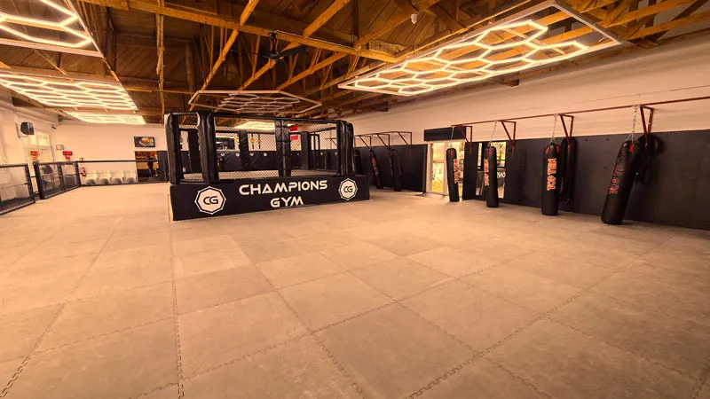 Champions Gym - Train with UFC Coaches