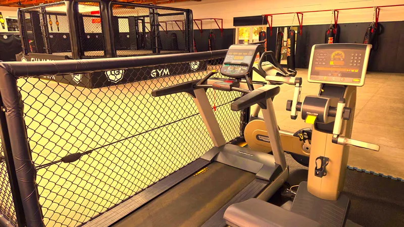 Champions Gym - Train with UFC Coaches