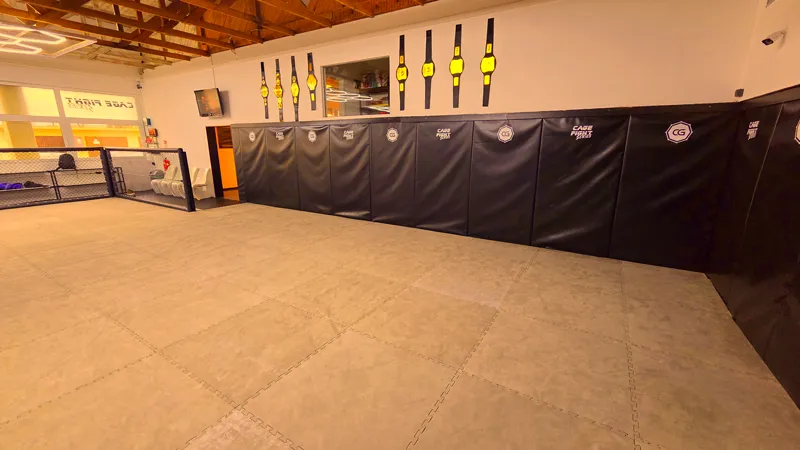 Champions Gym - Train with UFC Coaches