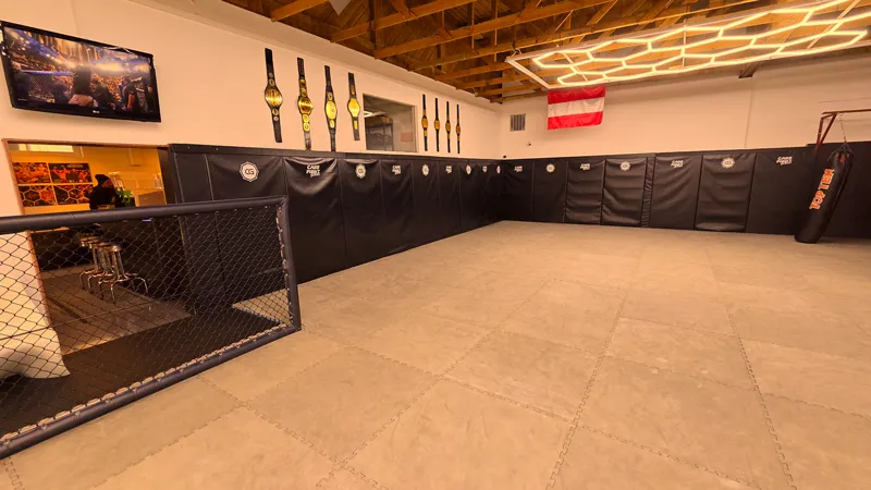 Champions Gym - Train with UFC Coaches